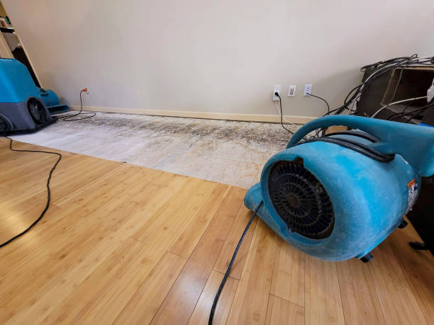 Professional Water Removal technician working in Marshallberg, NC